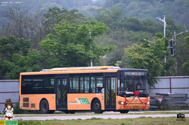 800BUS