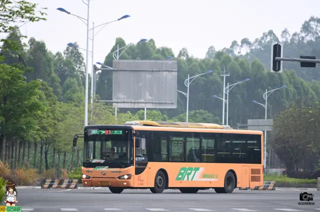 800BUS