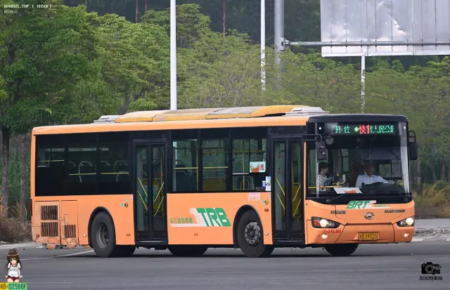 800BUS