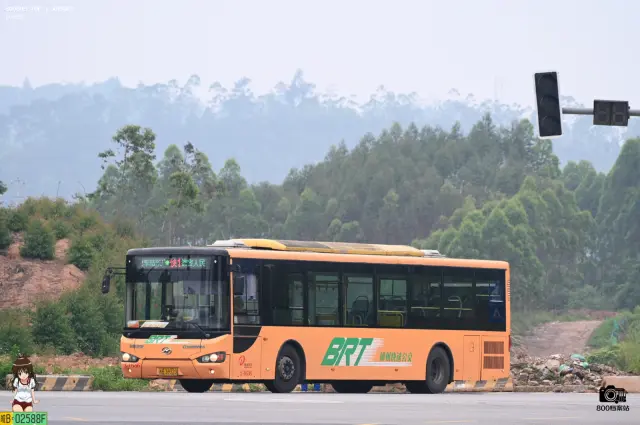 800BUS