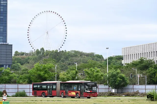 800BUS