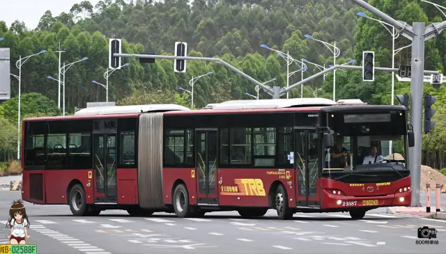 800BUS