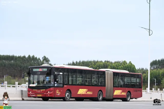 800BUS