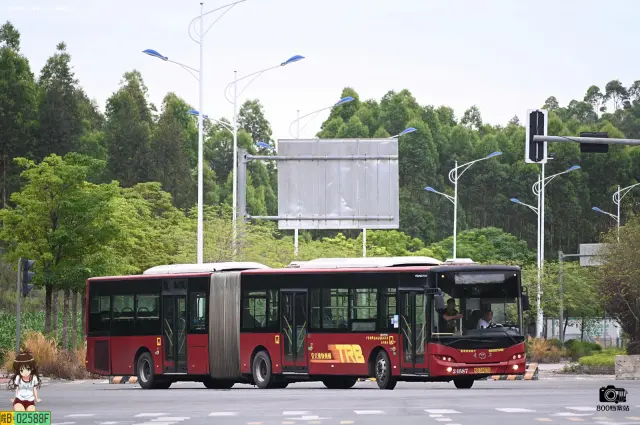 800BUS