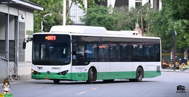800BUS
