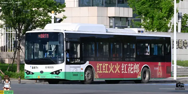 800BUS