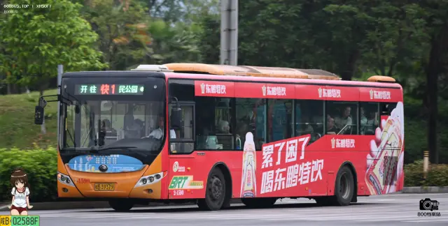 800BUS
