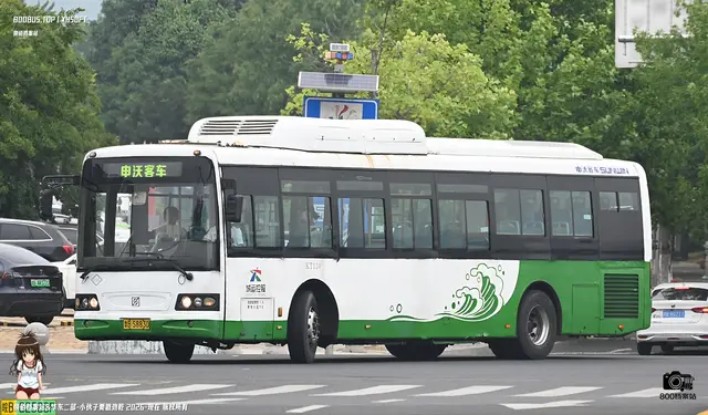 800BUS