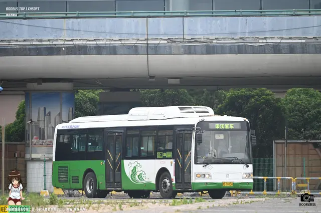800BUS