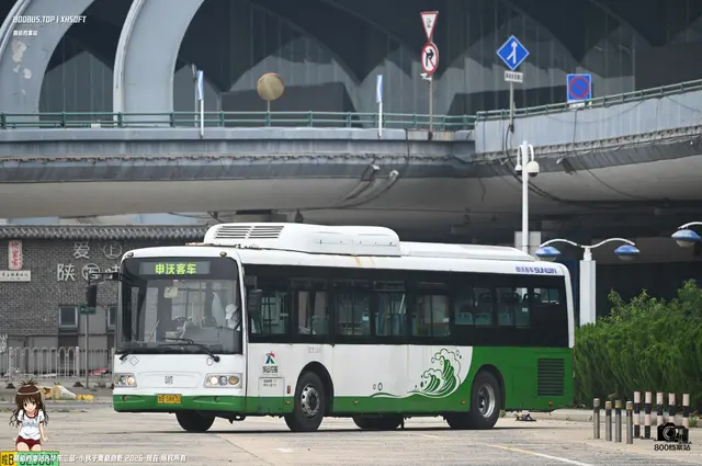800BUS