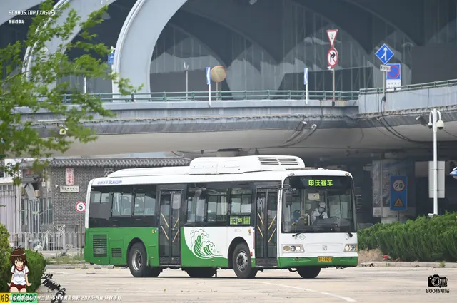 800BUS