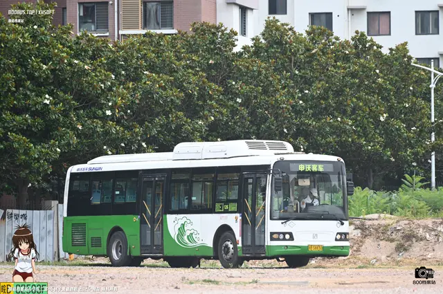 800BUS