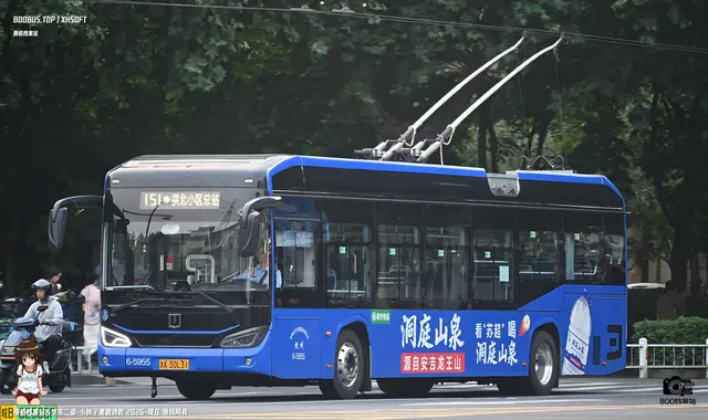 800BUS