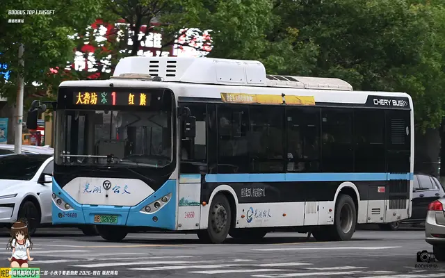 800BUS