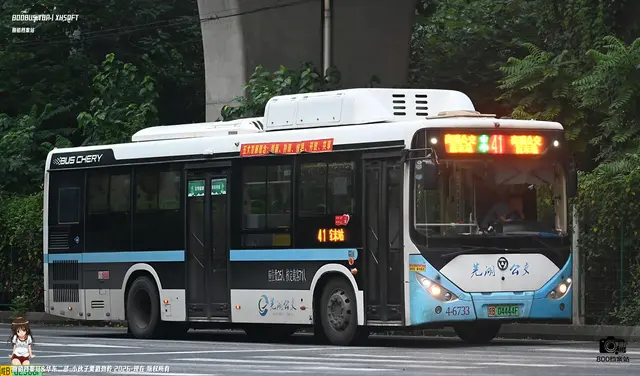 800BUS