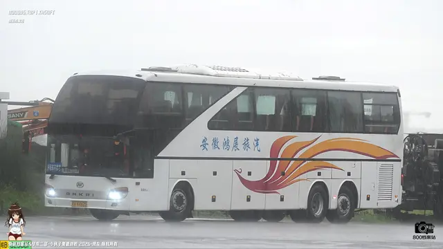 800BUS