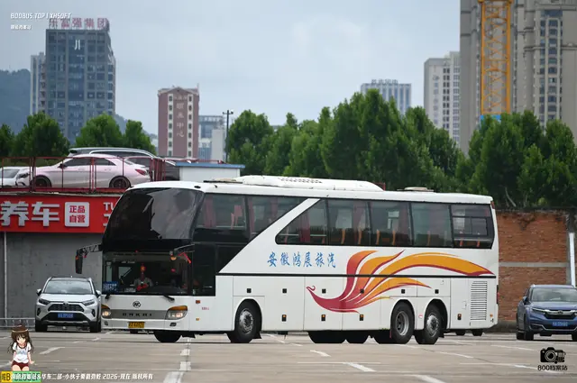 800BUS