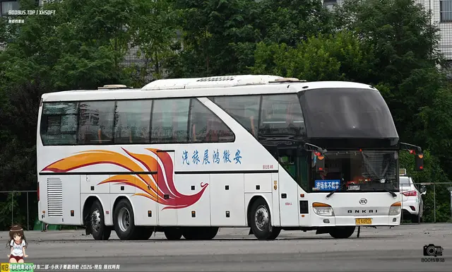 800BUS
