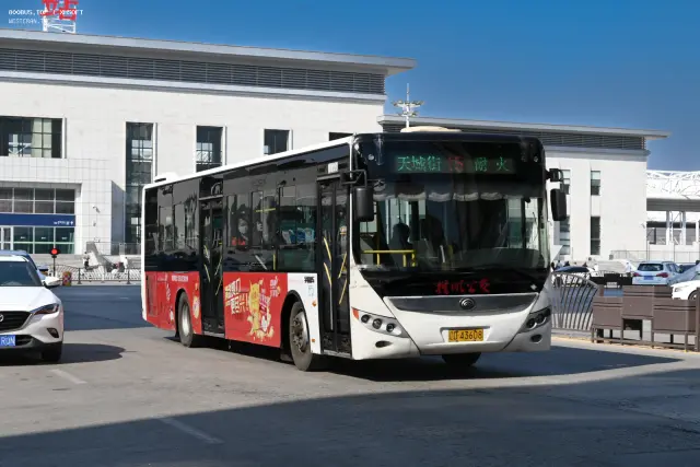 辽D 43608