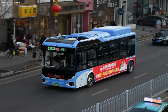 辽D 00167D