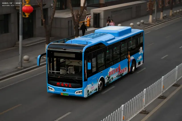 辽D 05216D