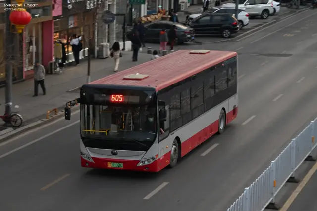辽D 01060D