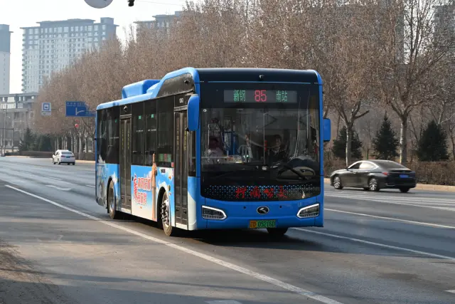 辽D 05216D