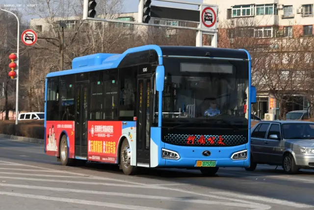 辽D 07520D