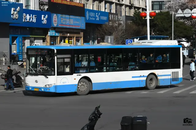 800BUS