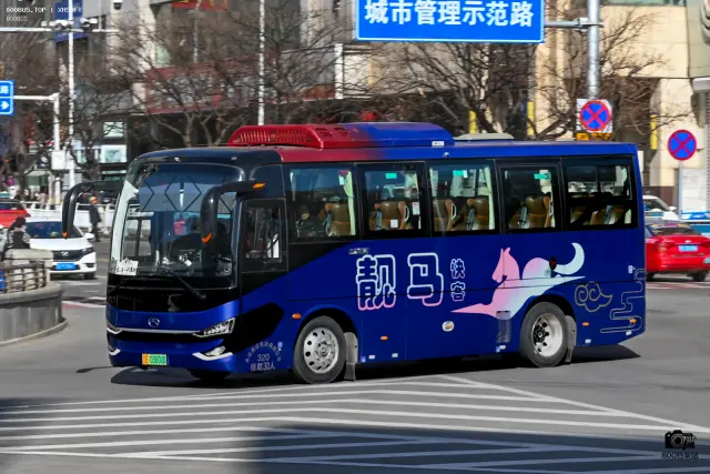 800BUS