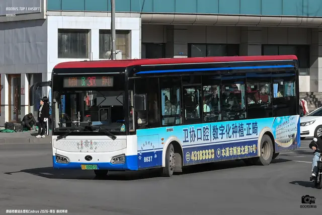 800BUS