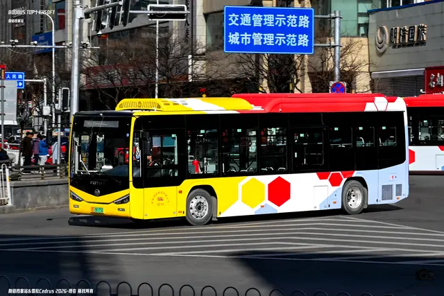 辽E 08175D