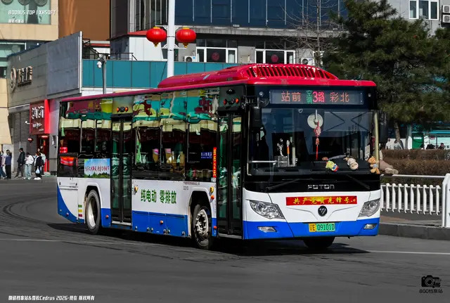 辽E 09101D