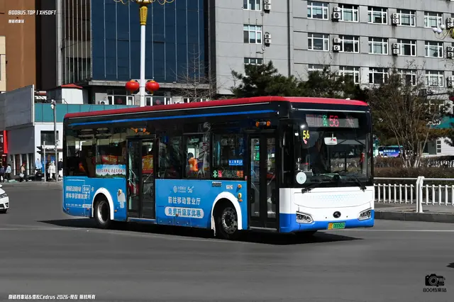 辽E 00066D