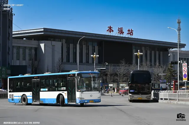 800BUS