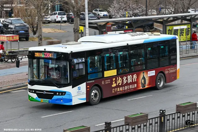 辽A 05221D