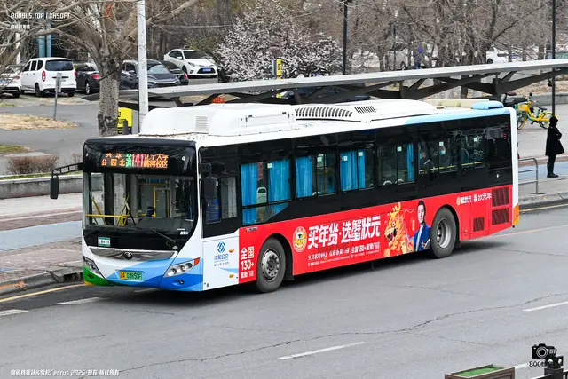 辽A 03850F