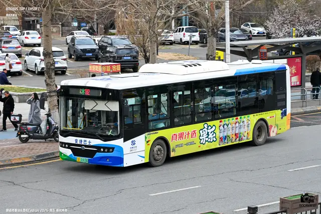 辽A 01618D