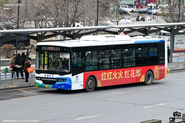 辽A 06838D