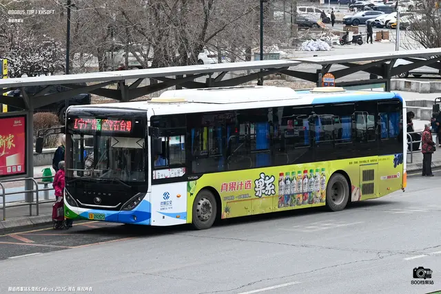 辽A 09262D