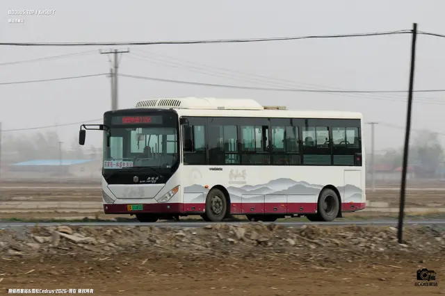 辽A 01860D