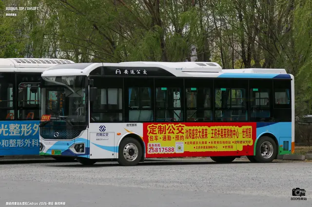 辽A 09957D