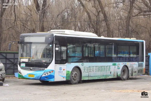 辽A K6651