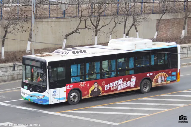 辽A 06155F