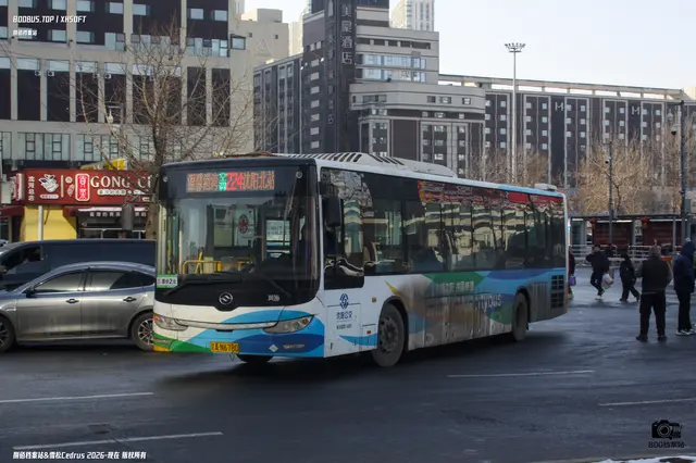 辽A N6780
