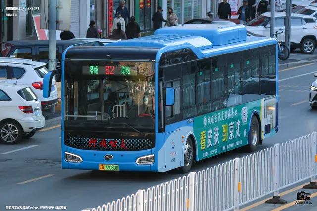 辽D 03080D