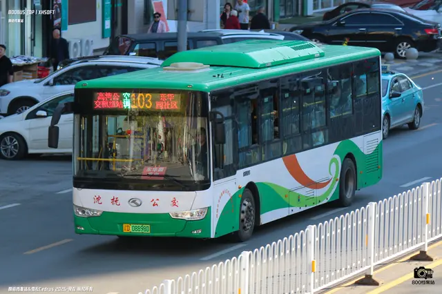 辽D 08898D