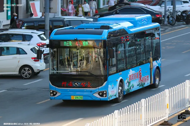 辽D 09619D