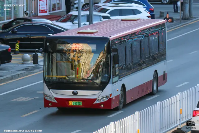 辽D 08181D
