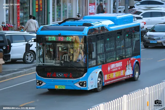 辽D 00507D